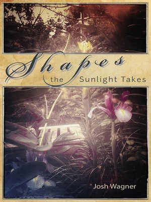 cover image of Shapes the Sunlight Takes